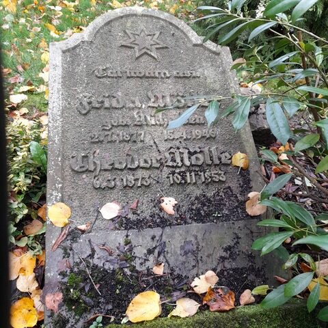 Theodor_Moeller_Friedhof_Ahrensboek